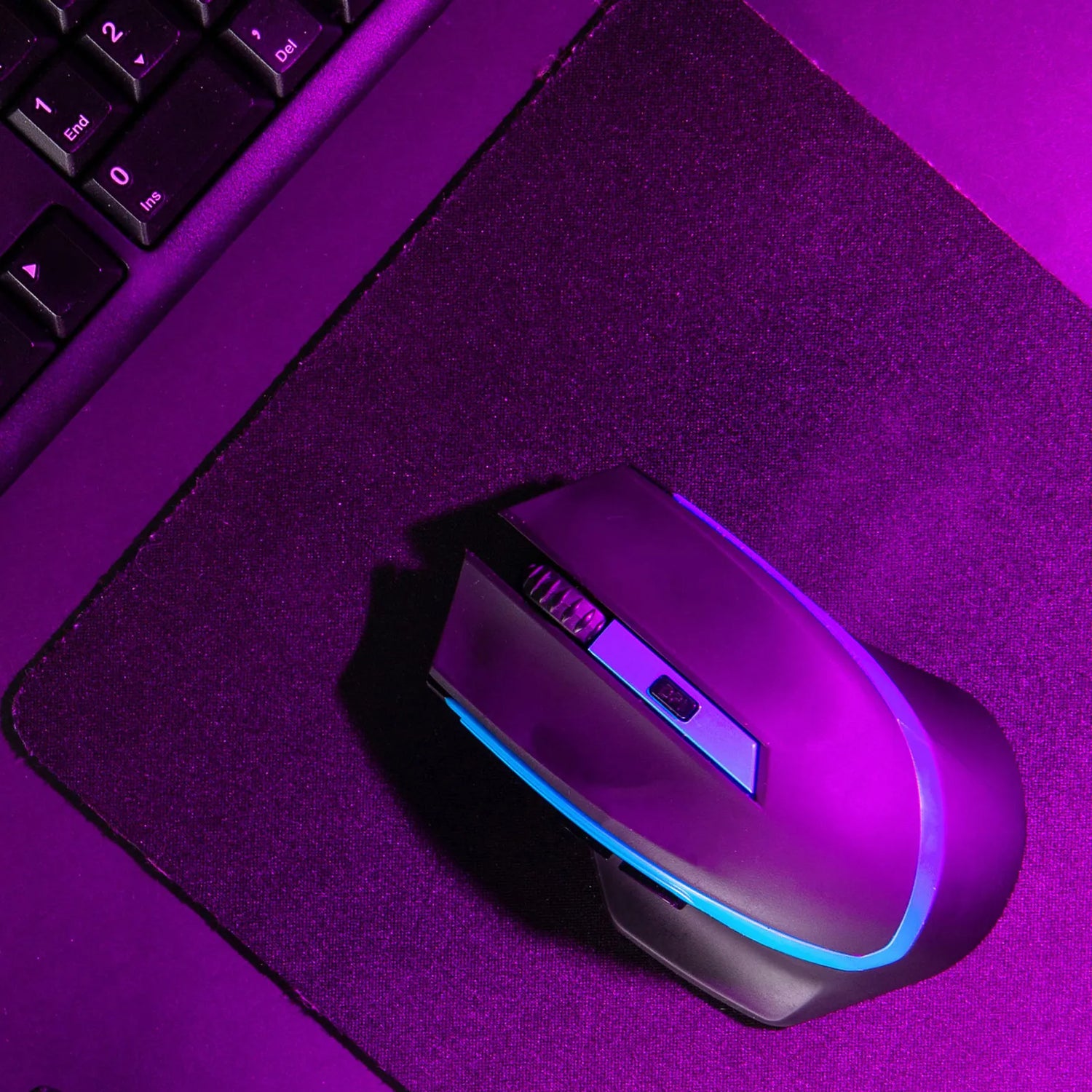Mouses